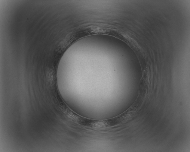 X0000067520513200604211820