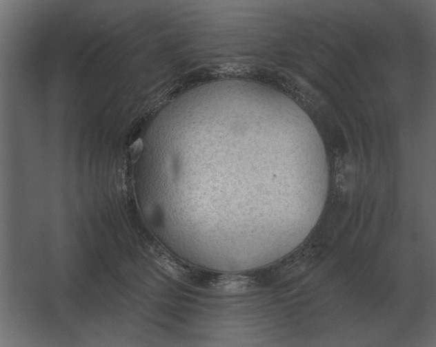 X0000067520514200604211820