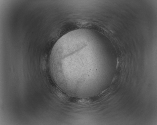 X0000067520515200604211820