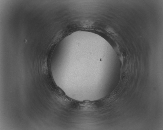 X0000067520516200604211820