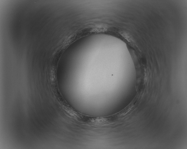 X0000067520517200604211820