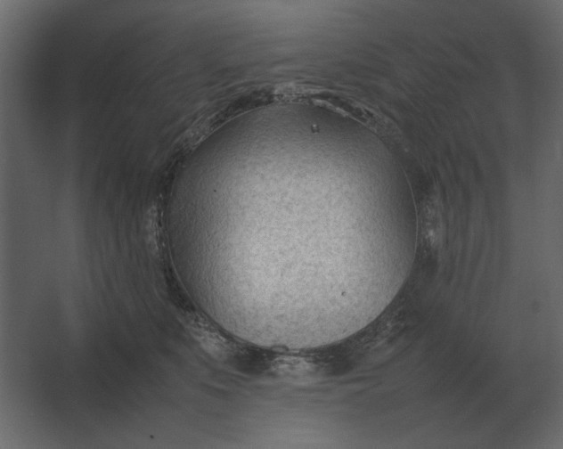 X0000067520519200604211820