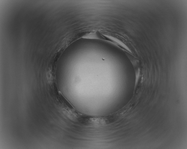 X0000067520520200604211820