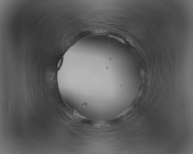 X0000067520521200604211820