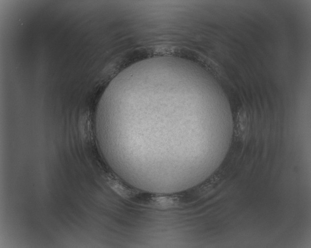 X0000067520522200604211820