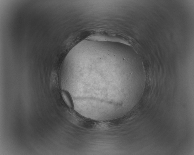 X0000067520523200604211820