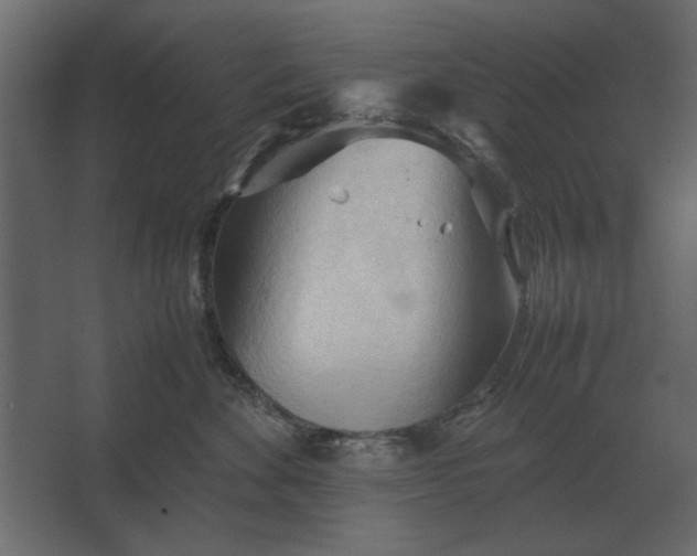 X0000067520524200604211820