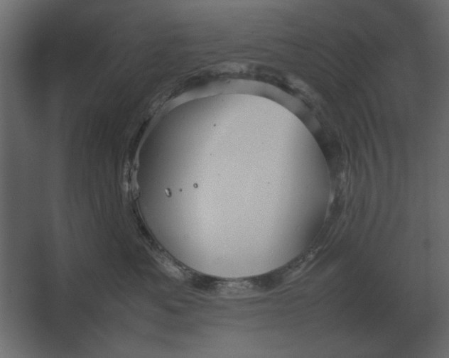 X0000067520525200604211820