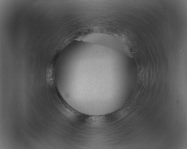 X0000067520526200604211820