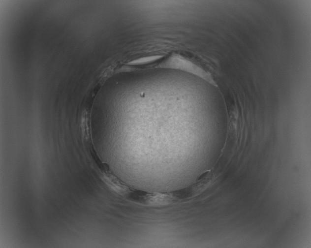 X0000067520527200604211820