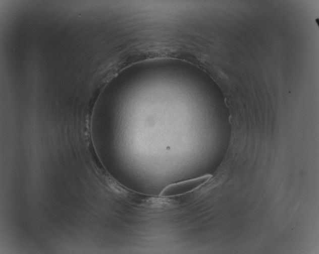 X0000067520528200604211820