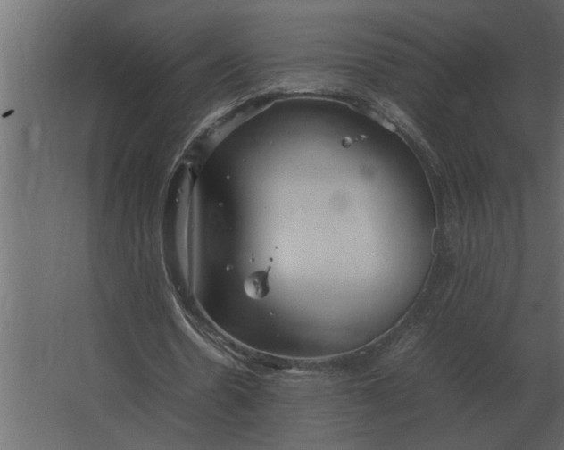 X0000067520530200604211819