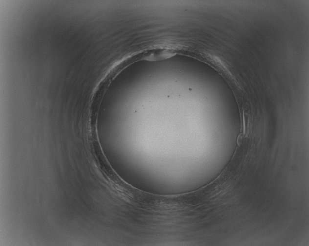 X0000067520531200604211819