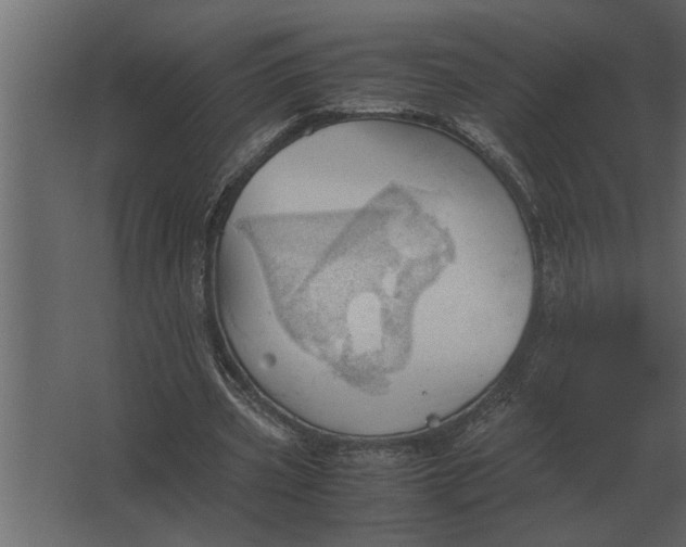 X0000067520533200604211819