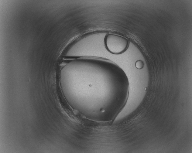 X0000067520534200604211819