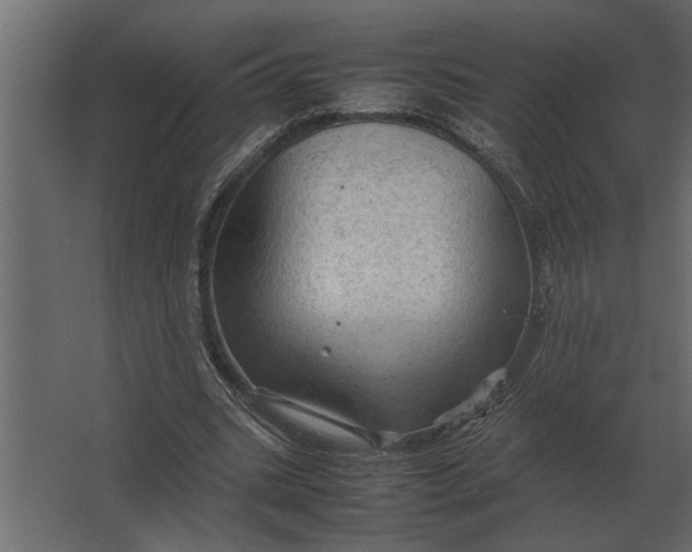 X0000067520535200604211819