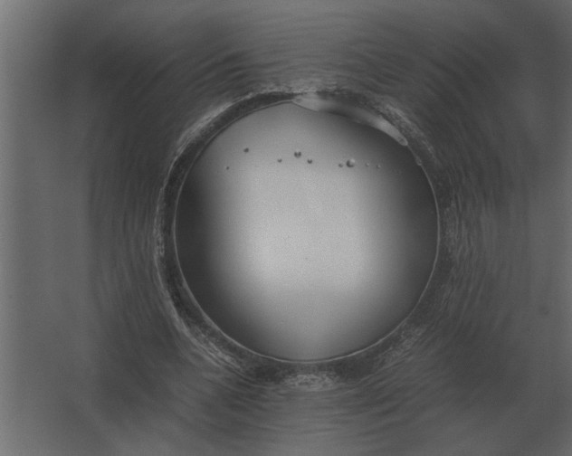 X0000067520536200604211819