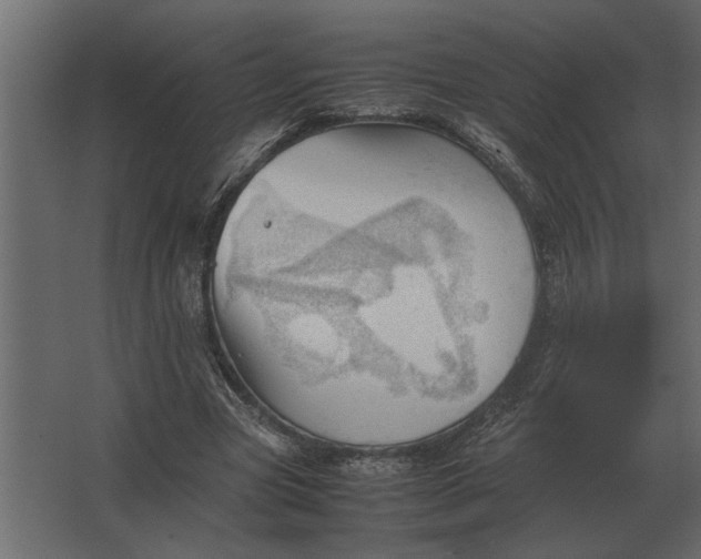 X0000067520537200604211819