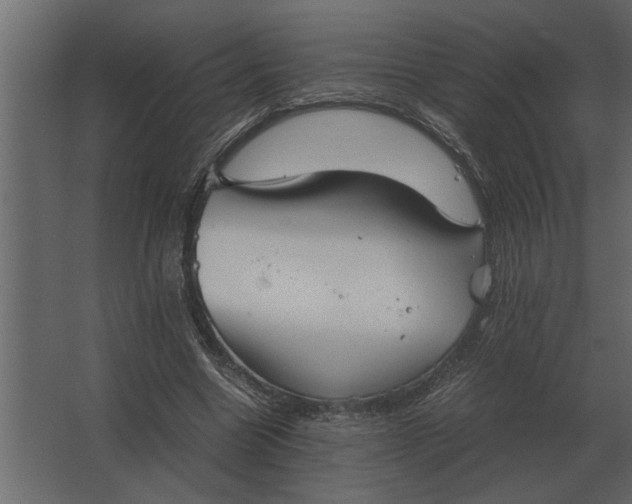 X0000067520538200604211819