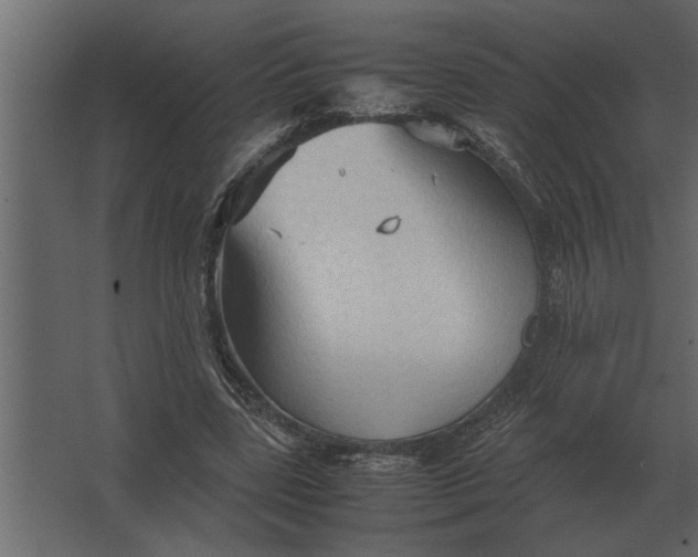 X0000067520539200604211819