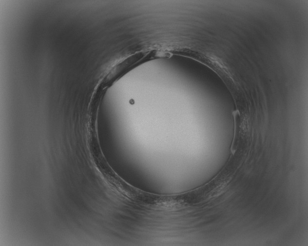 X0000067520540200604211819