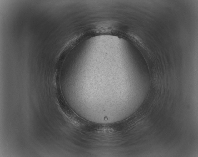 X0000067520543200604211819