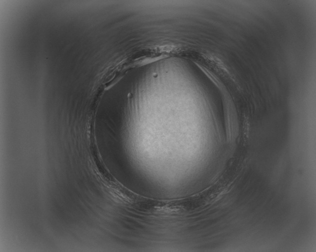 X0000067520545200604211819