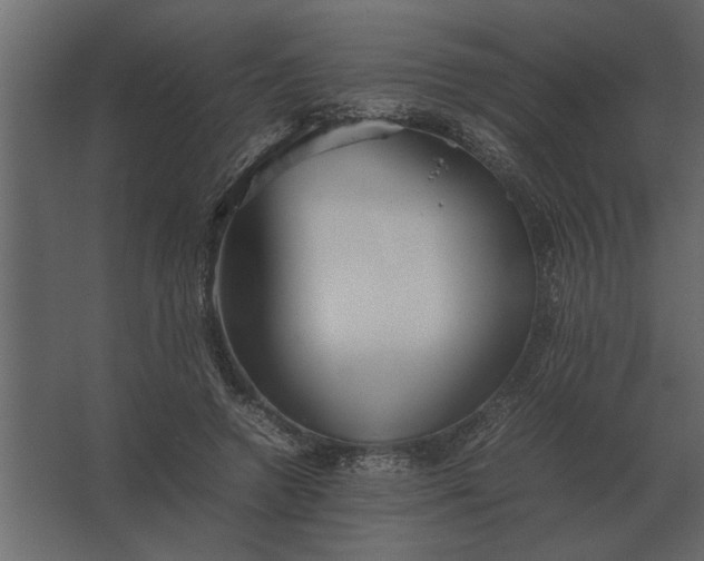 X0000067520546200604211819