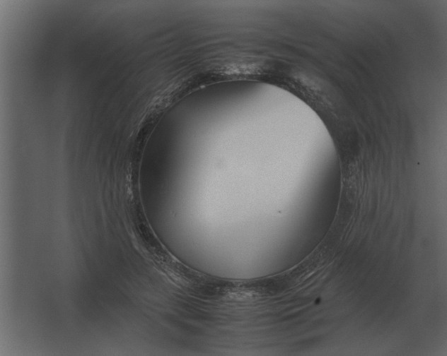 X0000067520547200604211819