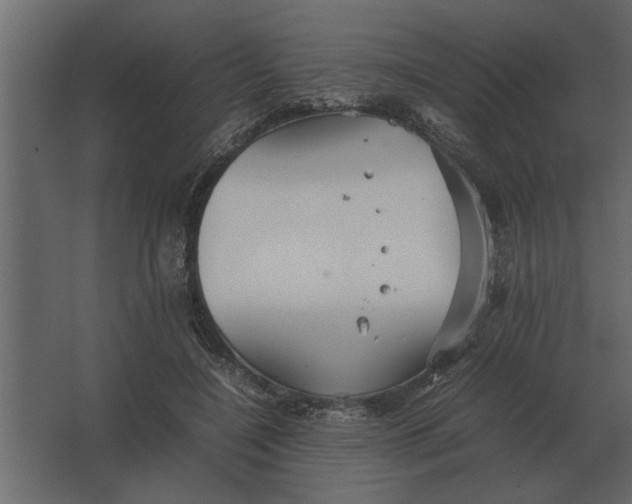 X0000067520548200604211819