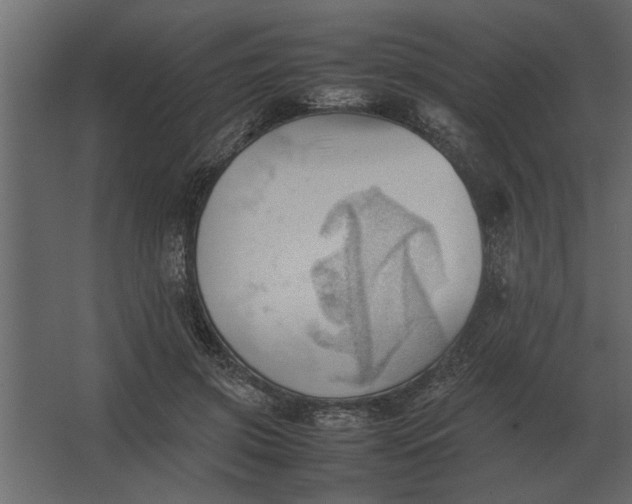 X0000067520549200604211820