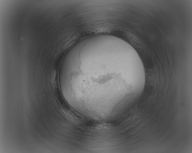 X0000067520550200604211820