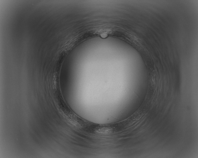 X0000067520551200604211820