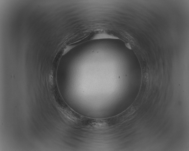 X0000067520552200604211820