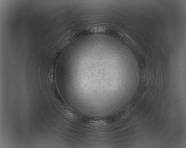 X0000067520553200604211820