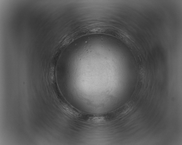 X0000067520554200604211820