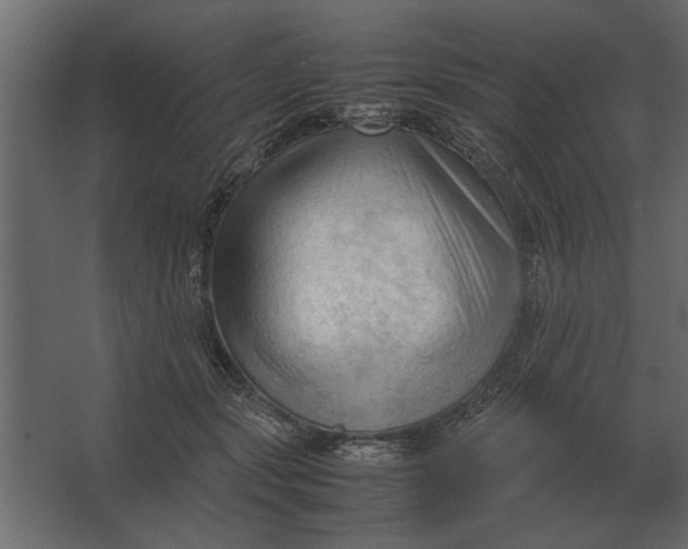 X0000067520557200604211820