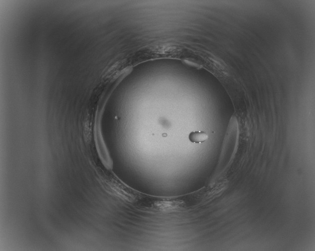 X0000067520558200604211820