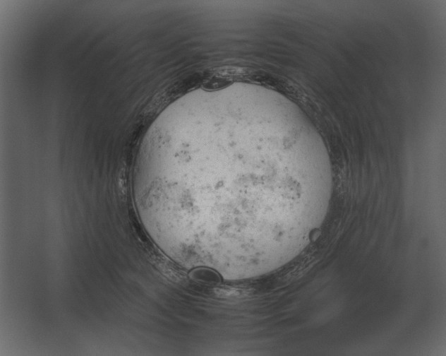 X0000067520561200604211820