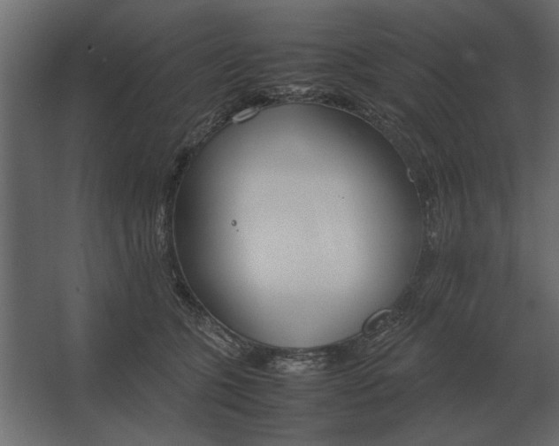 X0000067520563200604211820