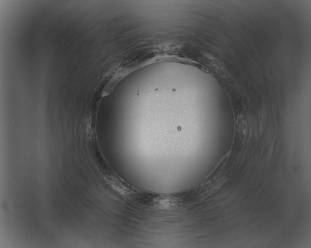 X0000067520564200604211820