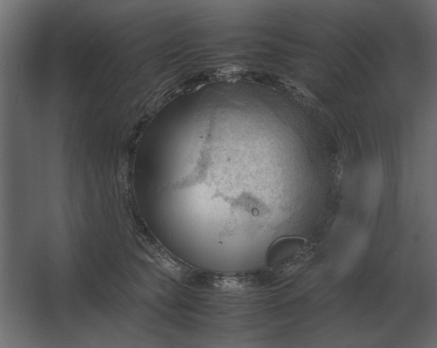 X0000067520565200604211820