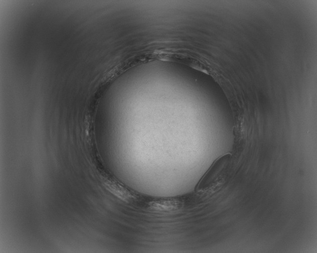 X0000067520567200604211820