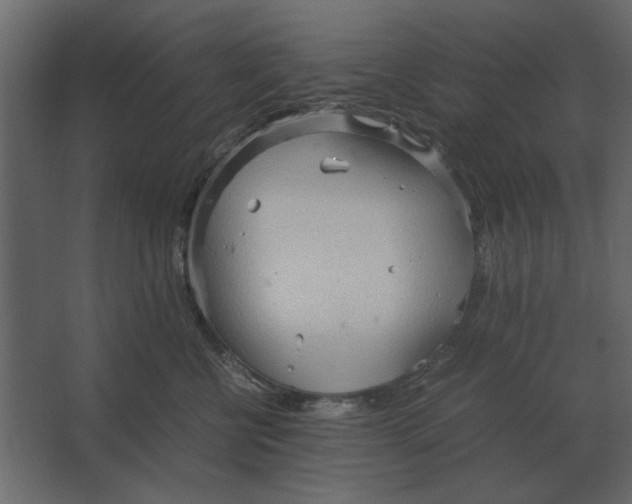 X0000067520570200604211820