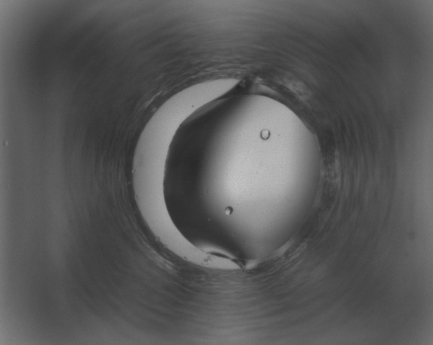 X0000067520572200604211820