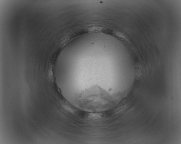 X0000067520573200604211820