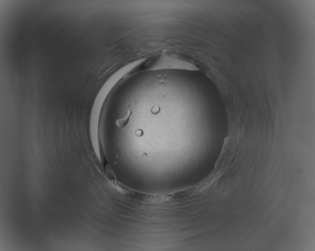 X0000067520576200604211820