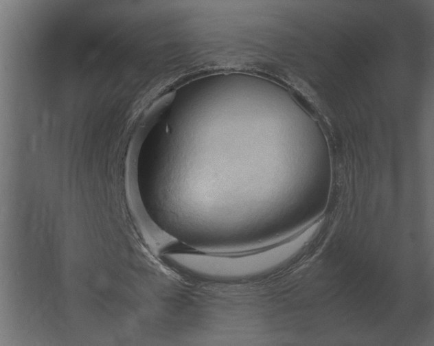 X0000067520577200604211819