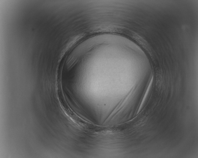 X0000067520578200604211819