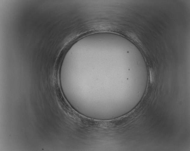 X0000067520579200604211819